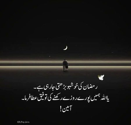 Motivational Quotes image