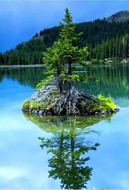 Beautiful Nature image