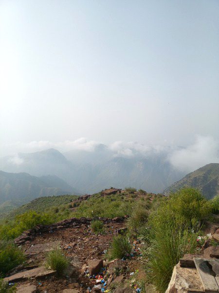 Beautiful nature