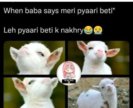 Memes & Satire image