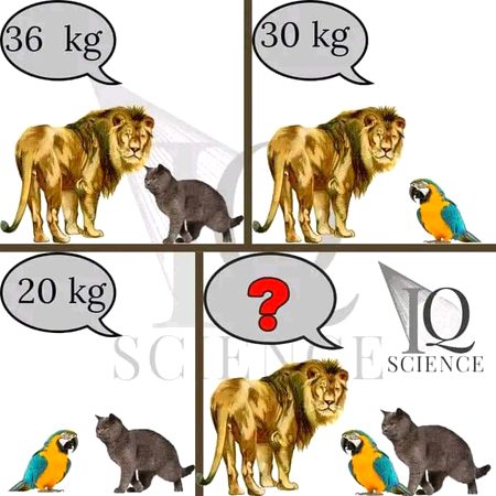 Riddles & Puzzles image
