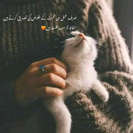 Aniza786