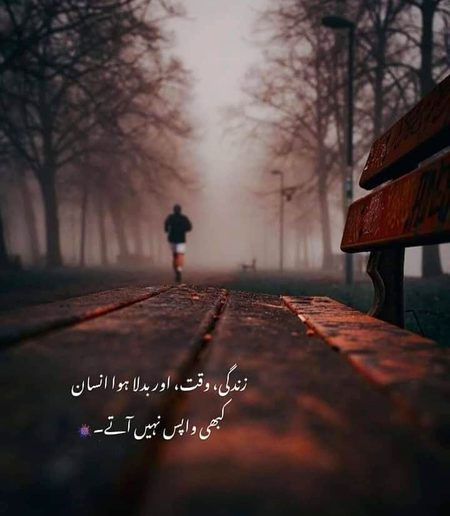 Life Advice image