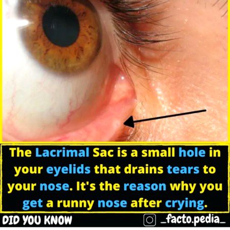 Interesting Posts image