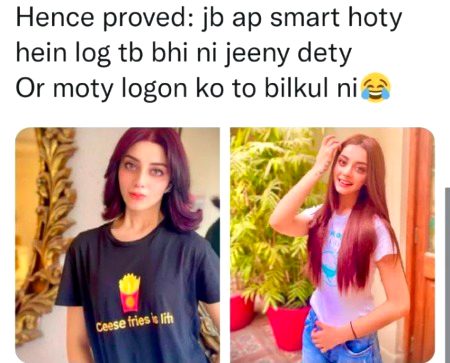 Memes & Satire image