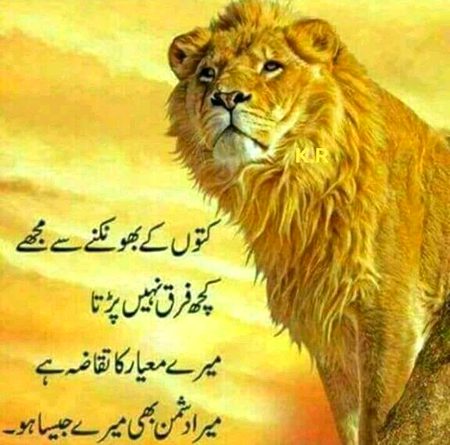 Attitude Poetry image