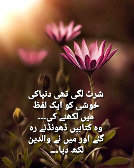 خوشی کا انحصار آپ پر ہے کہ کسی اور سے یہ توقع نہ رکھیں کہ وہ آپ کو دے گا۔