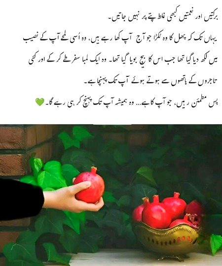 Motivational Quotes image