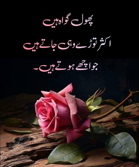 Saanaam idhr tornaa kch or h