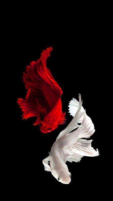 Beautiful Nature image