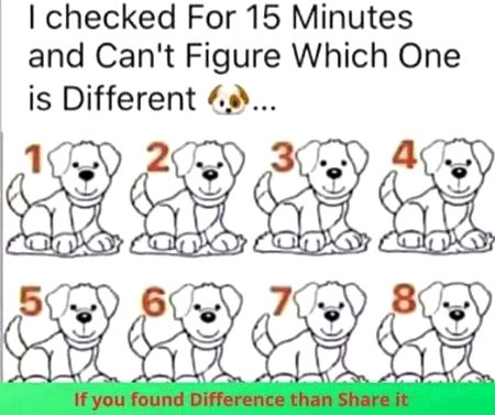 Riddles & Puzzles image