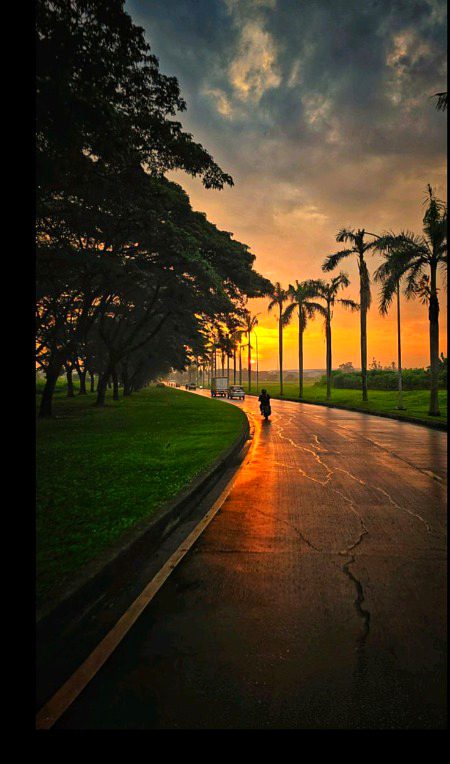 Beautiful Nature image