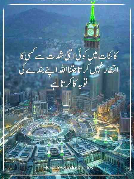 True✔💯