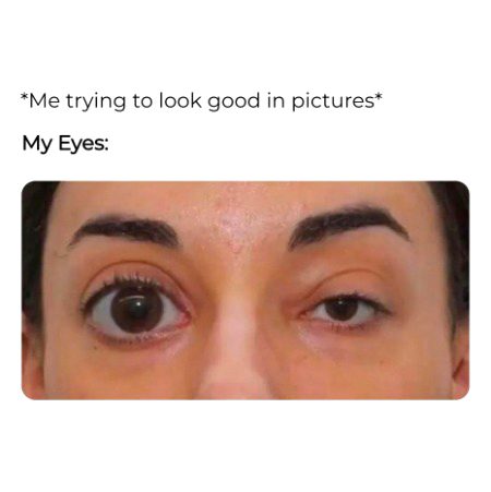 Memes & Satire image