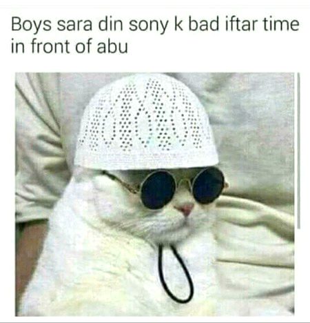 .d5 fake Or jhote log Pora Sal Dosro ko Topia Phenate hain Aur Ramzan main Khud bhi Topi Phente hoge wala😎