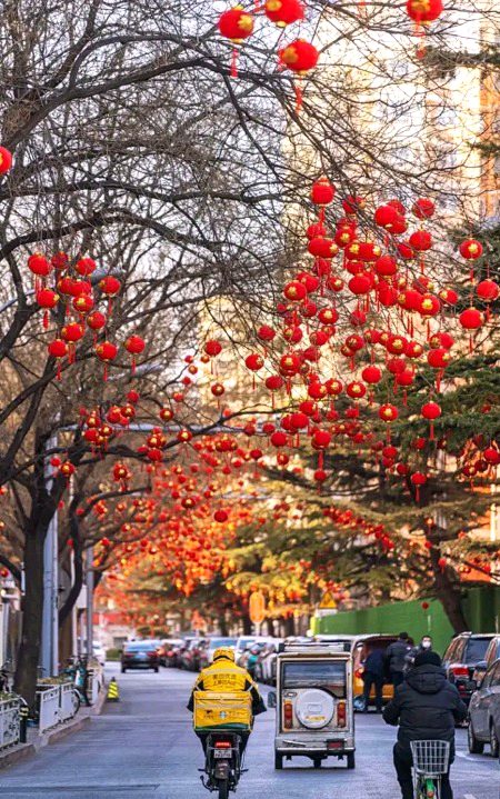 چین میں جشن بہار کی آمد آمد ہے۔بیجنگ کی سڑکوں پر رونق ہی رونق ہے اور ہر طرف سرخ رنگ کی سجاوٹ ہے۔مجھے یہ گلی سب سے زیادہ پسند ہے۔ہر درخت پر بہت سی چھوٹی چھوٹی لالٹینیں لٹکی ہوئی ہیں جو کہ دیکھنے میں بہت پیاری ہیں۔