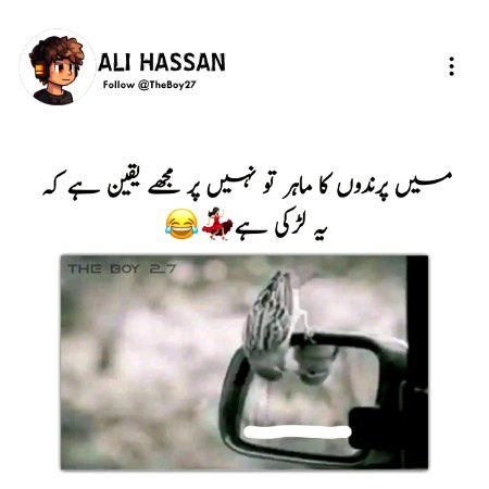 Girls har jgha shesha dekhti aesa kyun