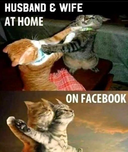 Memes & Satire image