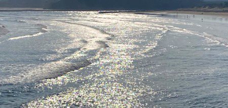 Beautiful Nature image