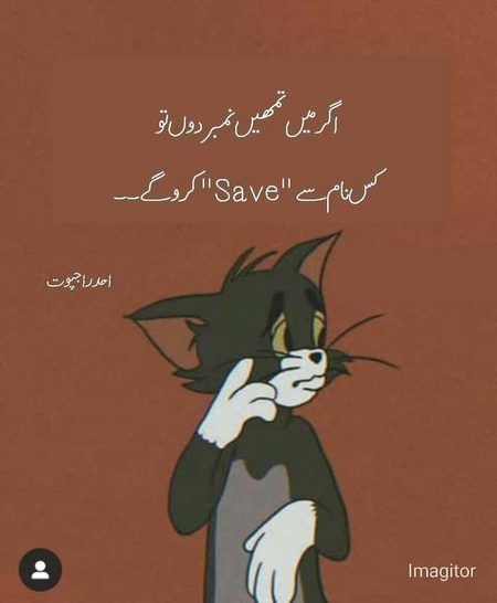 Memes & Satire image