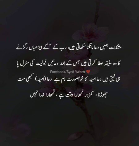 Beshak ❤️❤️