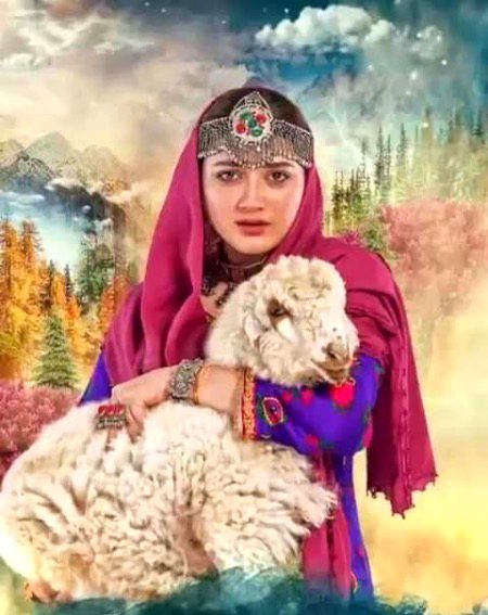 Pakistani Celebs image