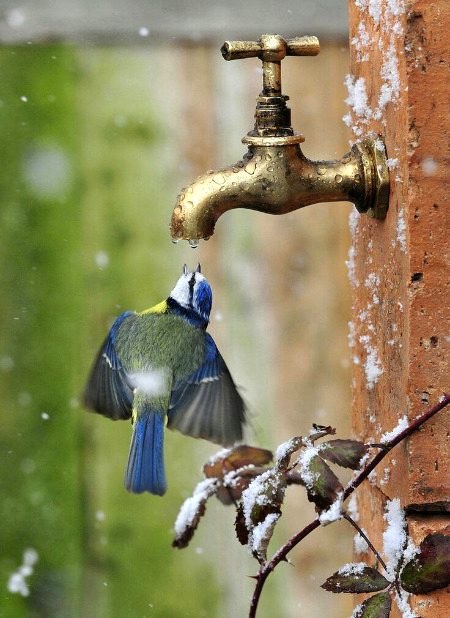 Beautiful Nature image