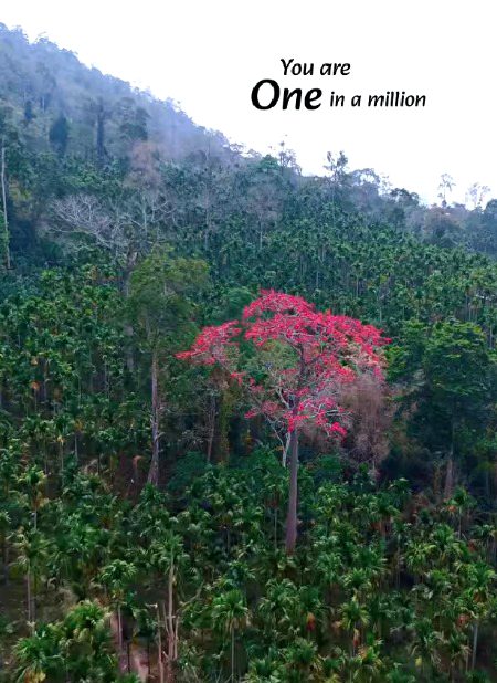 Beautiful Nature image