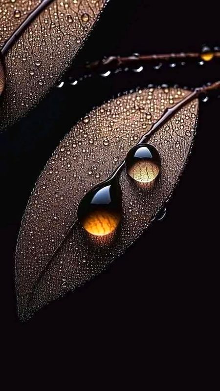 ArT PictuRe