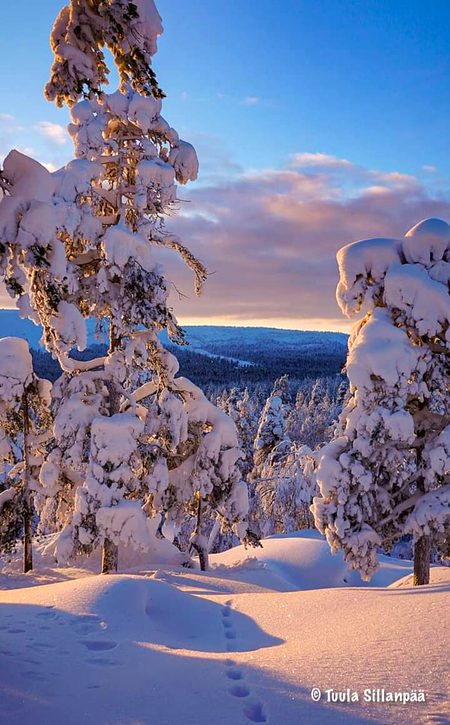 Beautiful Nature image