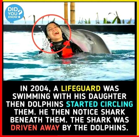 Interesting Posts image