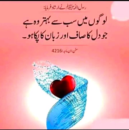 🖤💚❤️🖤💚❤️🖤💚❤️