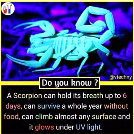 Interesting Posts image