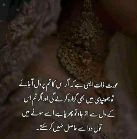 Haqeeqat ✍️✅💯