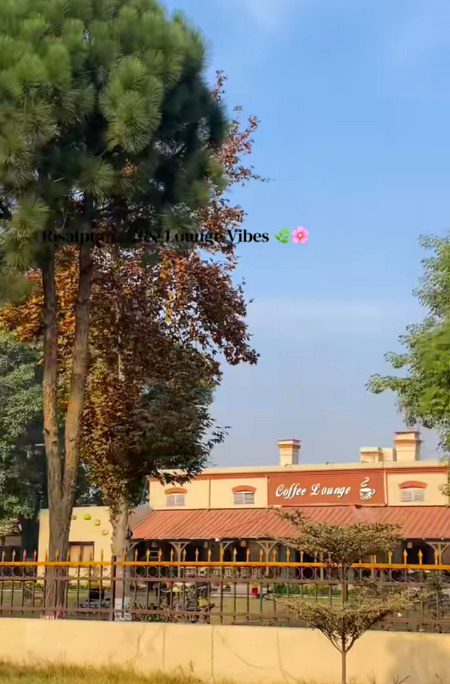 Beautiful Nature image