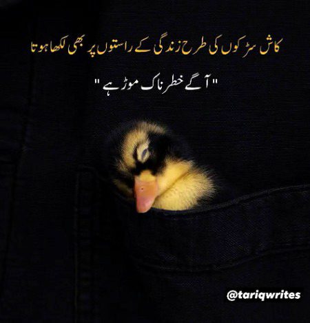 پوسٹ بائے قربان