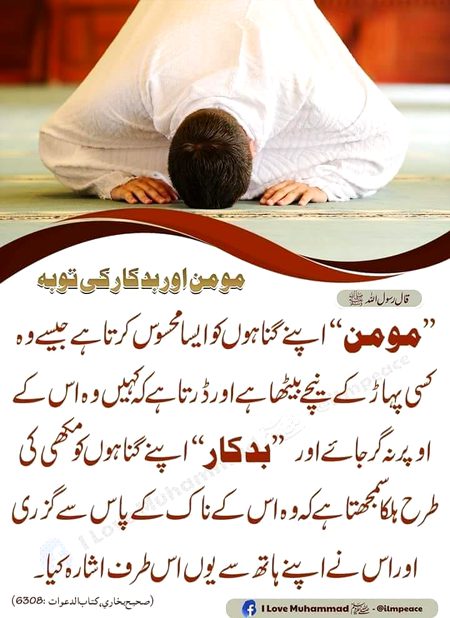 wqiouerioweqruio qoweiruoweqiur