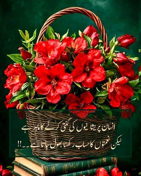 .r1 all gdnyt tc all