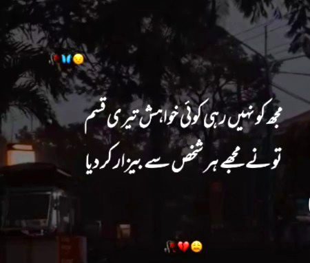 ٹکڑے پڑے تھے راہ میں تصویر کے بہت، لگتا ھے کوئی دیوانہ سمجھدار ھو گیا