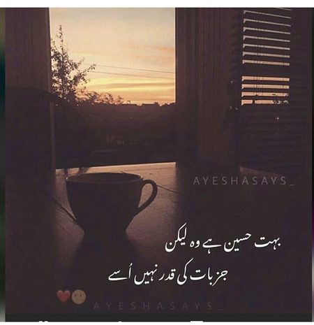 Theek hai ab sata lou tum bhi iss kia ho jaye ga? Hah ham to pehly hi bohot zakham khaye howy hain