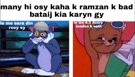 Memes & Satire image