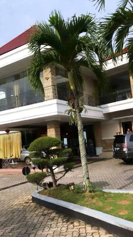 Beautiful Structures image