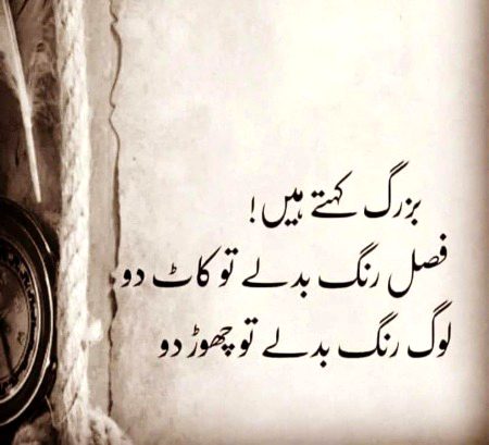 .q1 all 4 pages like done ✅✅✅