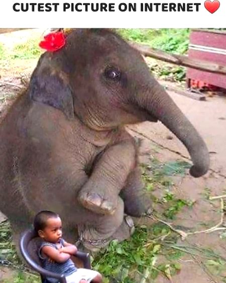 Ye Ku chup han🤔🤔