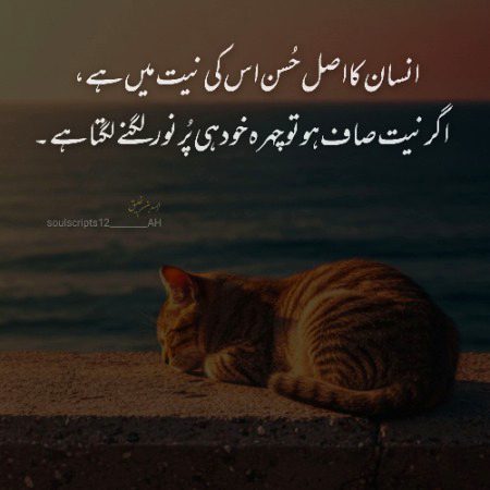 یہی حقیقت ہے