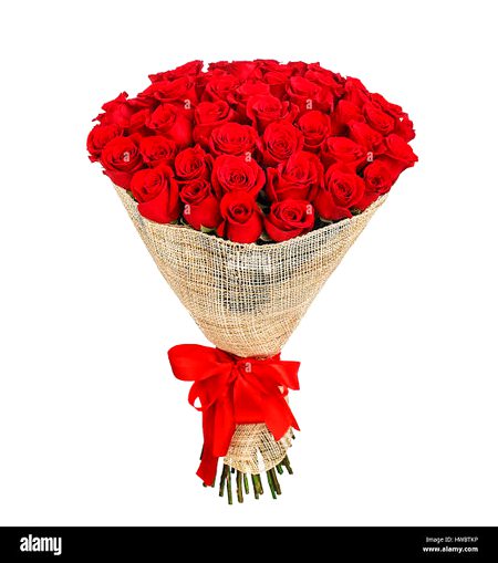 Beautiful Nature image