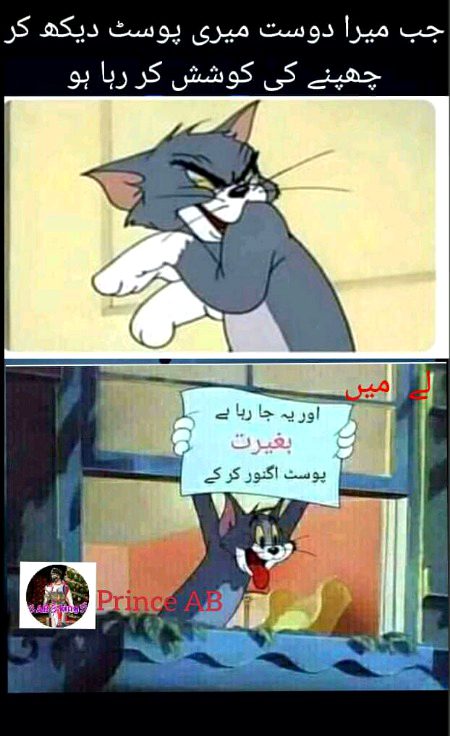 Memes & Satire image