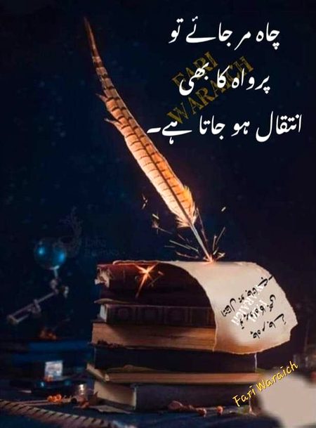 Attitude Quotes image