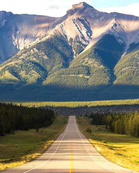 Beautiful Nature image