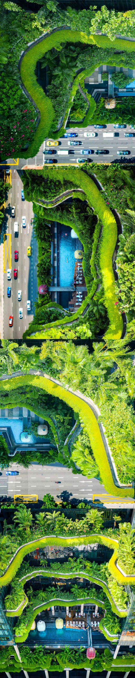 Beautiful Nature image